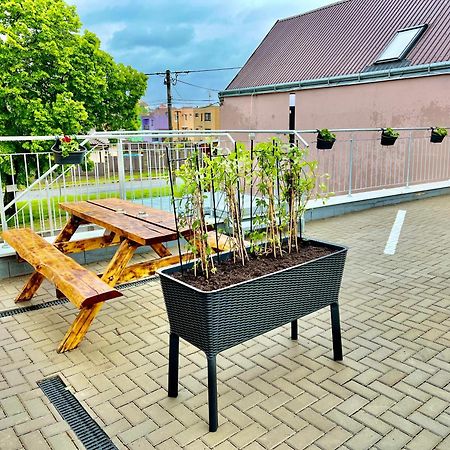 Penzion Bazen Vino Sklep U Palecku Zaječí 외부 사진